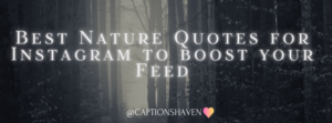 best nature quotes for instagram